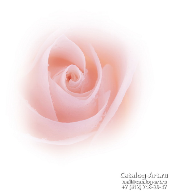 Натяжные потолки с фотопечатью - Розовые розы 29